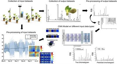 Predictive Chromatography of Leaf Extracts Through Encoded Environmental Forcing on Phytochemical Synthesis